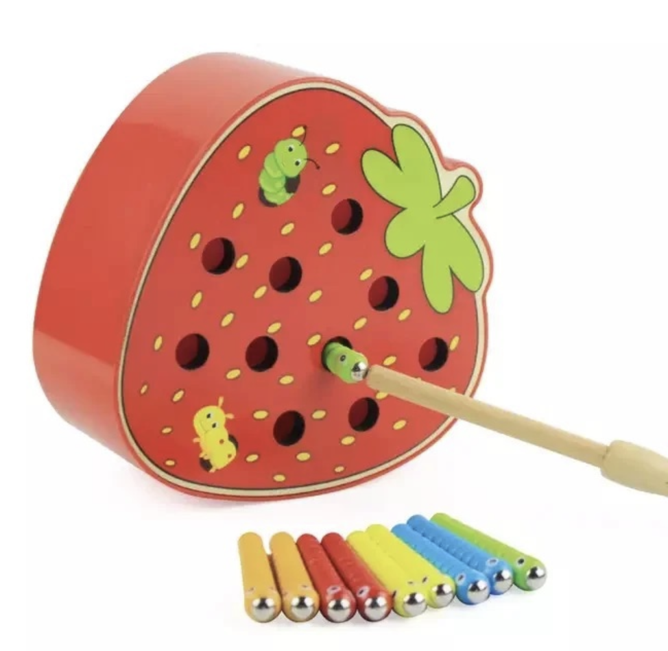 Magnetic strawberry insect catcher 550rs only #magnetictoysforkids  #magnetictoys