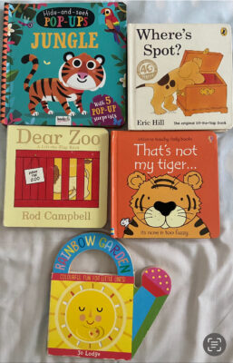 picture books, Pop up Book, Lift the Flap books, Touch and Feel Book & Slide and See book - Assorted preloved bestseller baby books