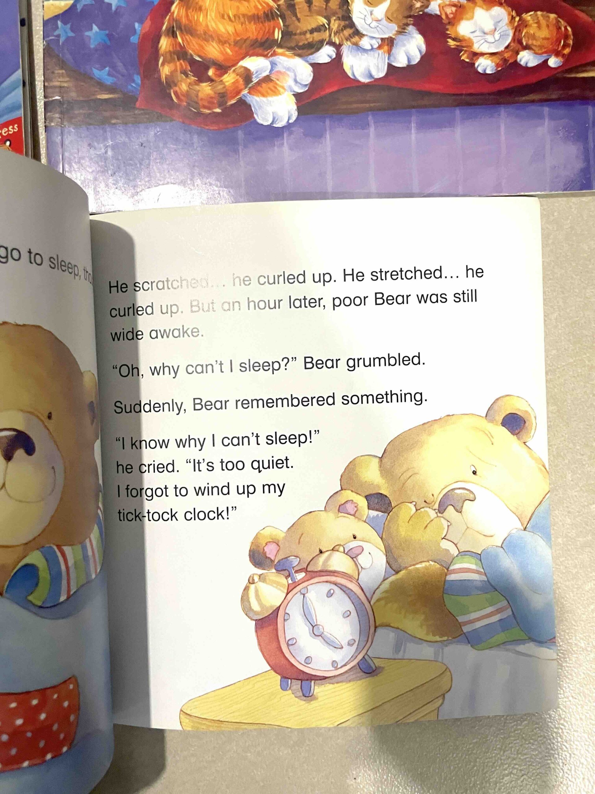 Preloved picture story book - Bear can't sleep