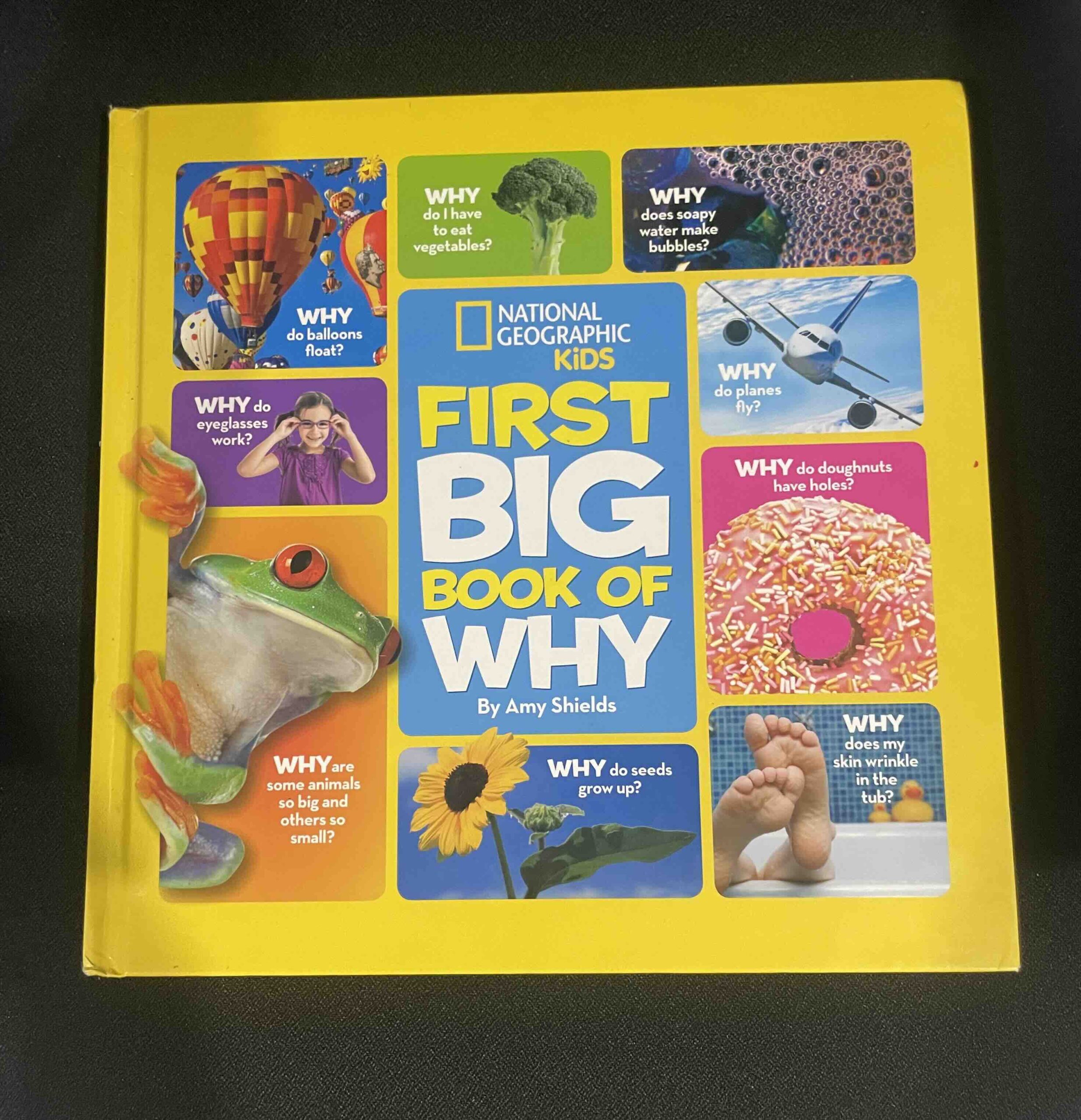 preloved Like NEW National Geographic Kids First Big Book of Why