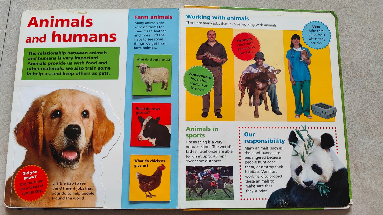 Secondhand kids lift the flap book on animals