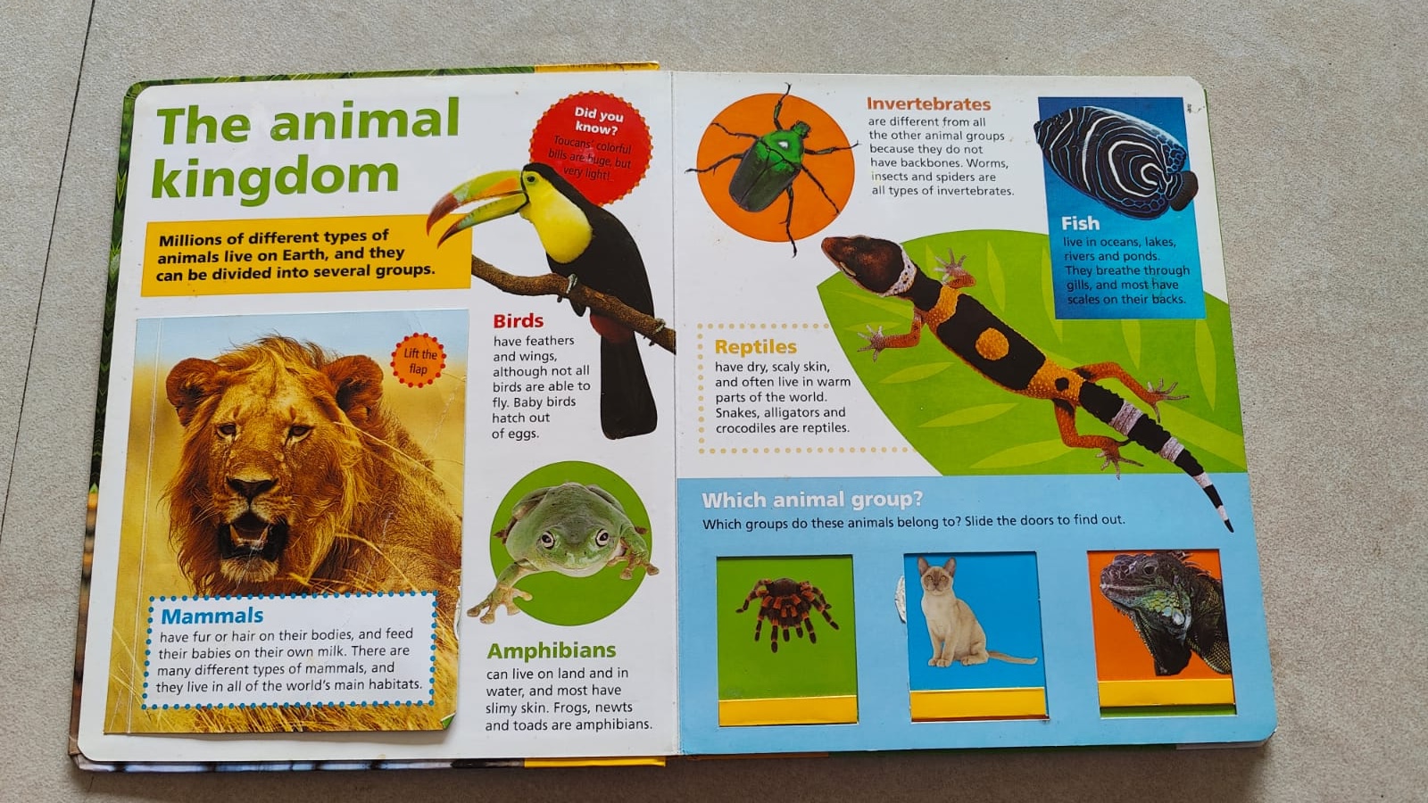 secondhand interactive animal book