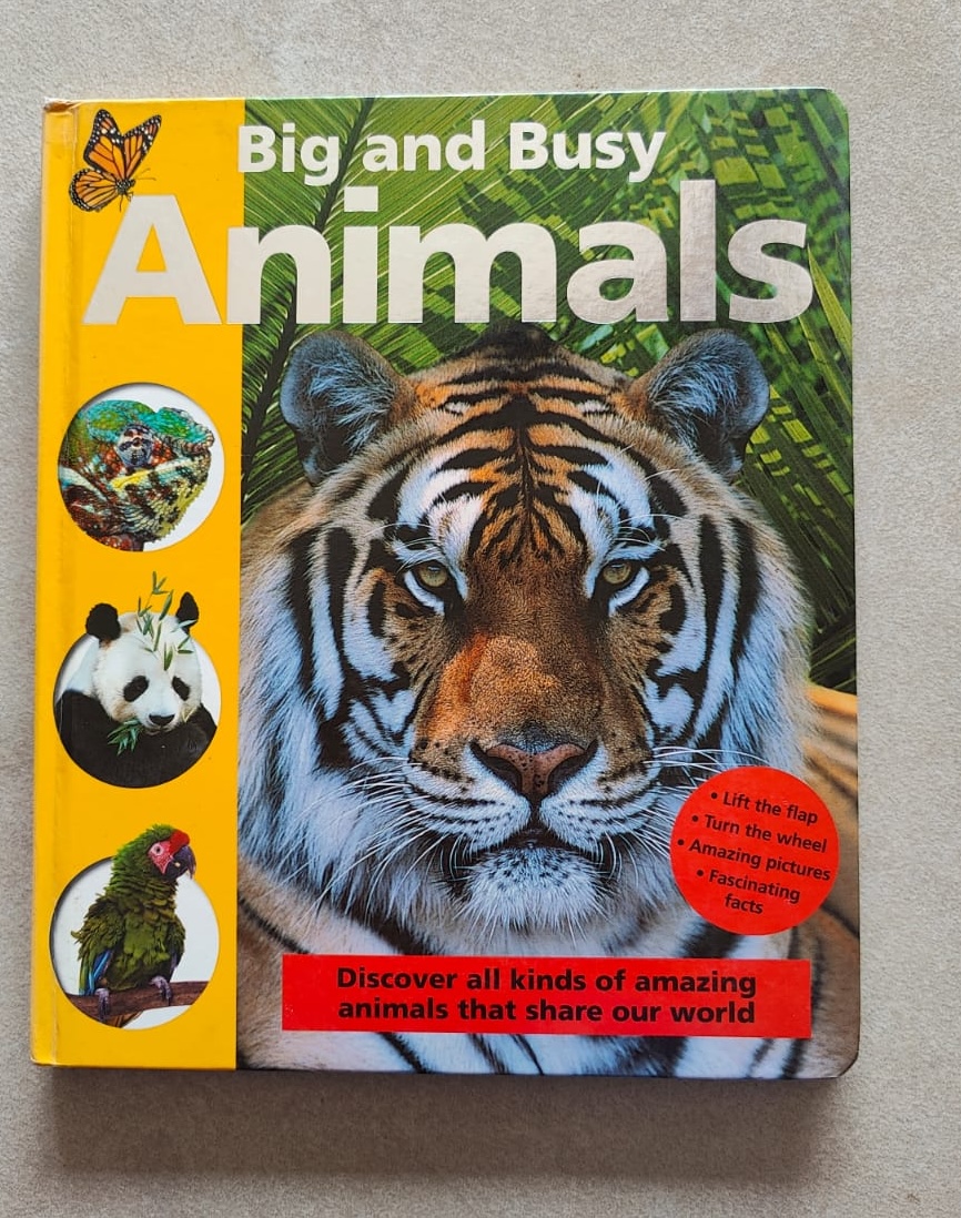 Preowned Big and Busy Animals Book