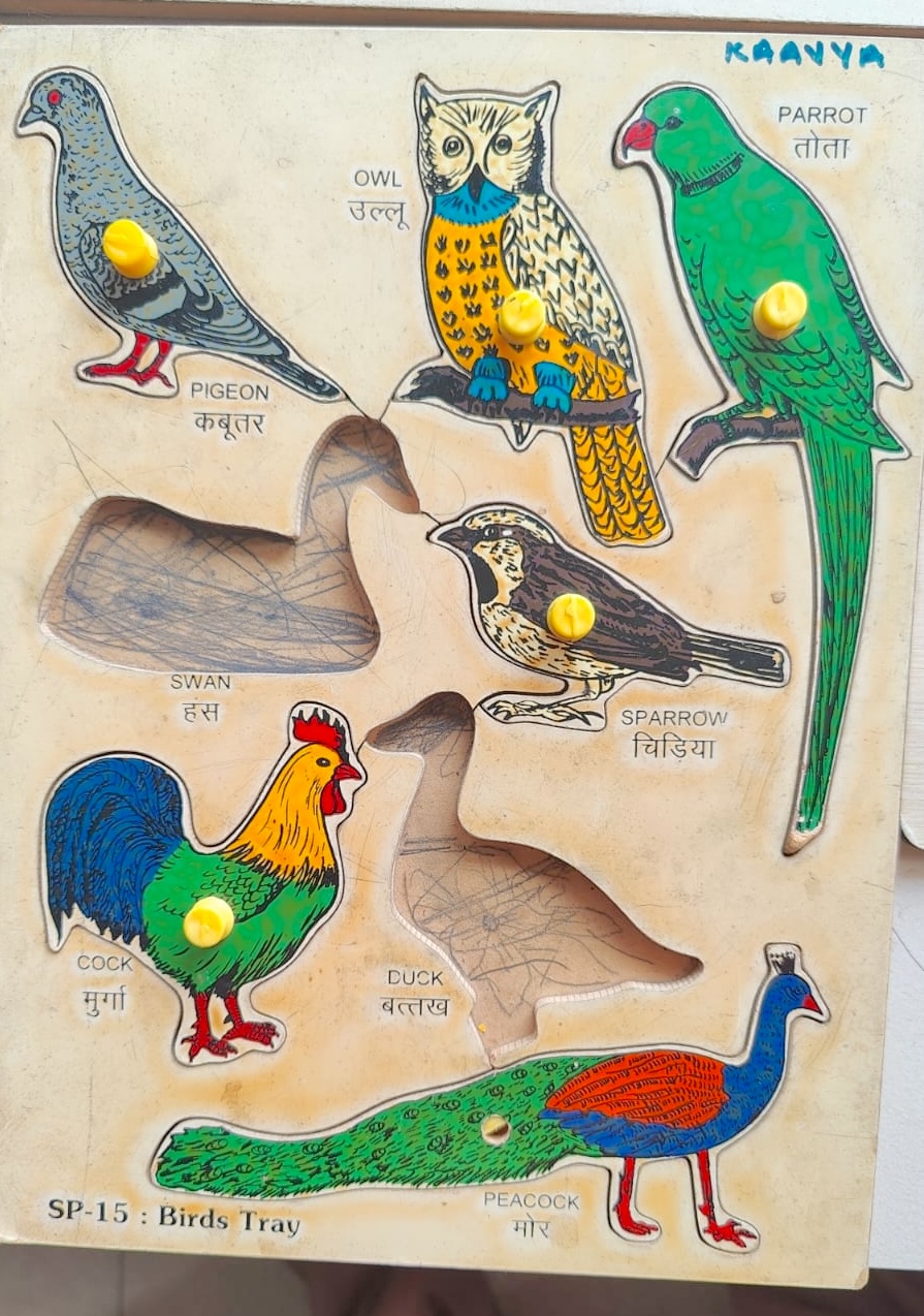 Secondhand birds puzzle for kids