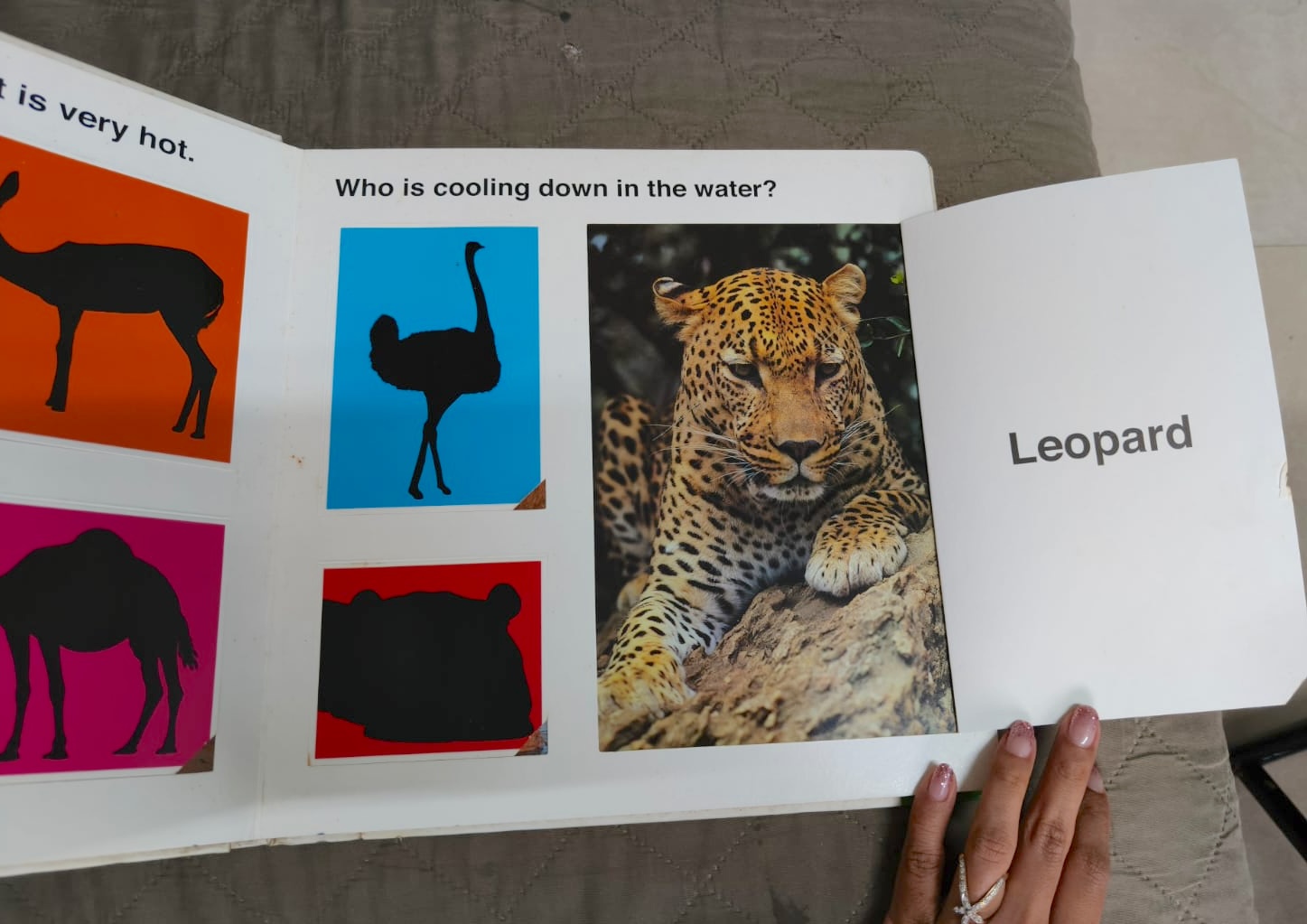 Second-hand zoo animal storybook