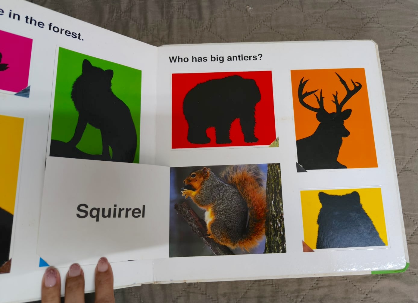 Affordable preloved children’s flap book for preschoolers