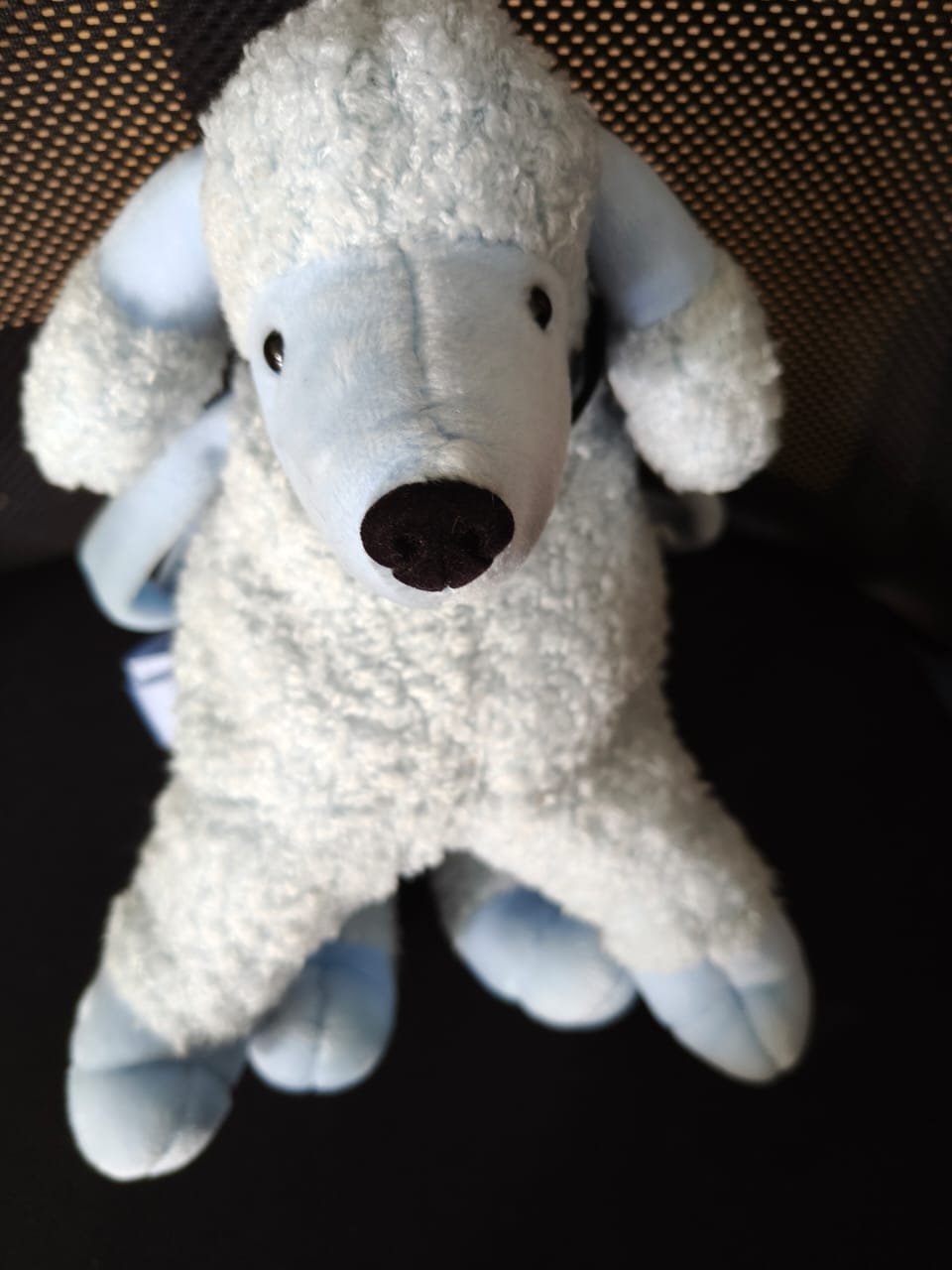 Stylish girls sling bag / purse new