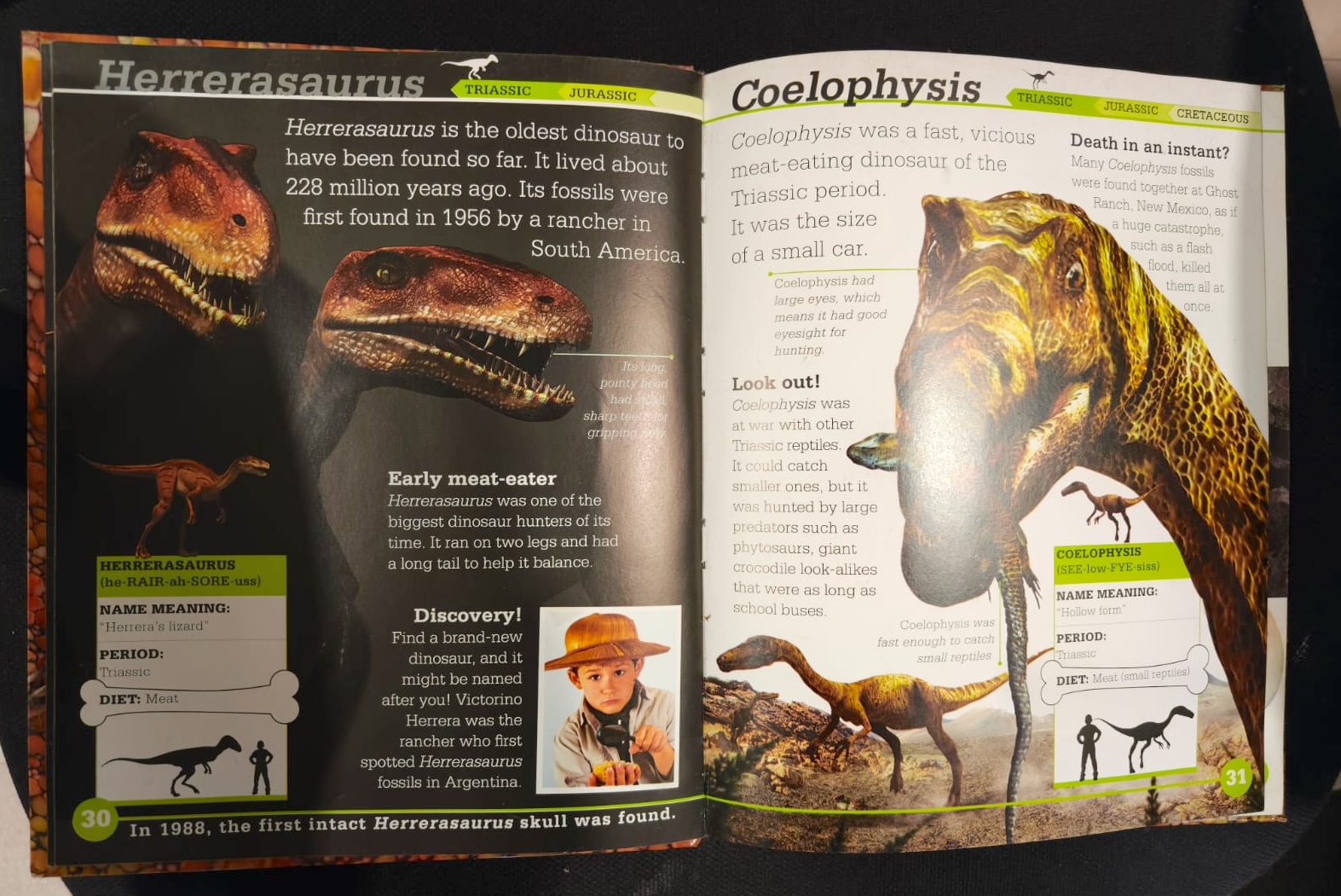 Used dinosaur books for young readers Used dinosaur books for young readers
