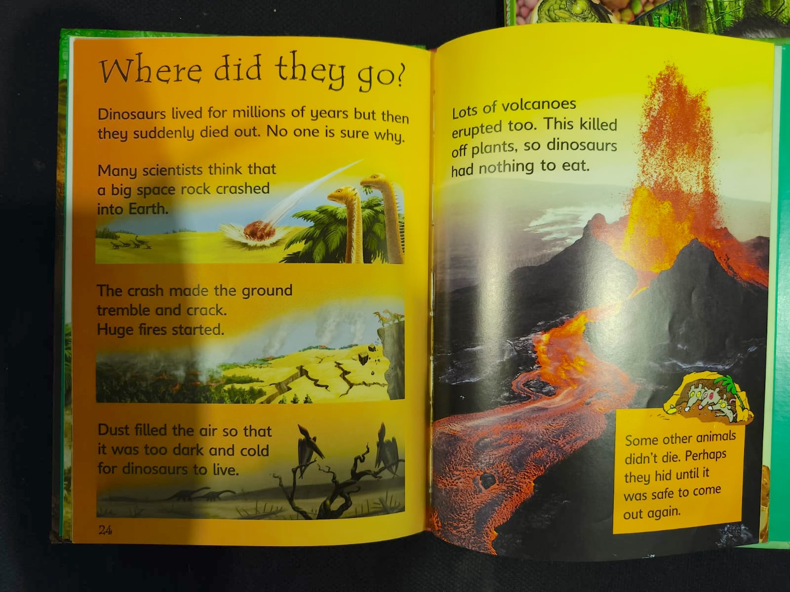 Educational dinosaur books like new Educational dinosaur books like new