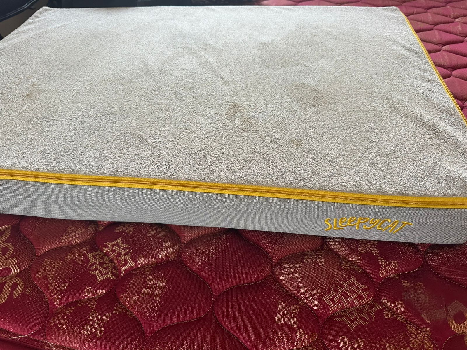 Preowned Sleepycat mattress for kids