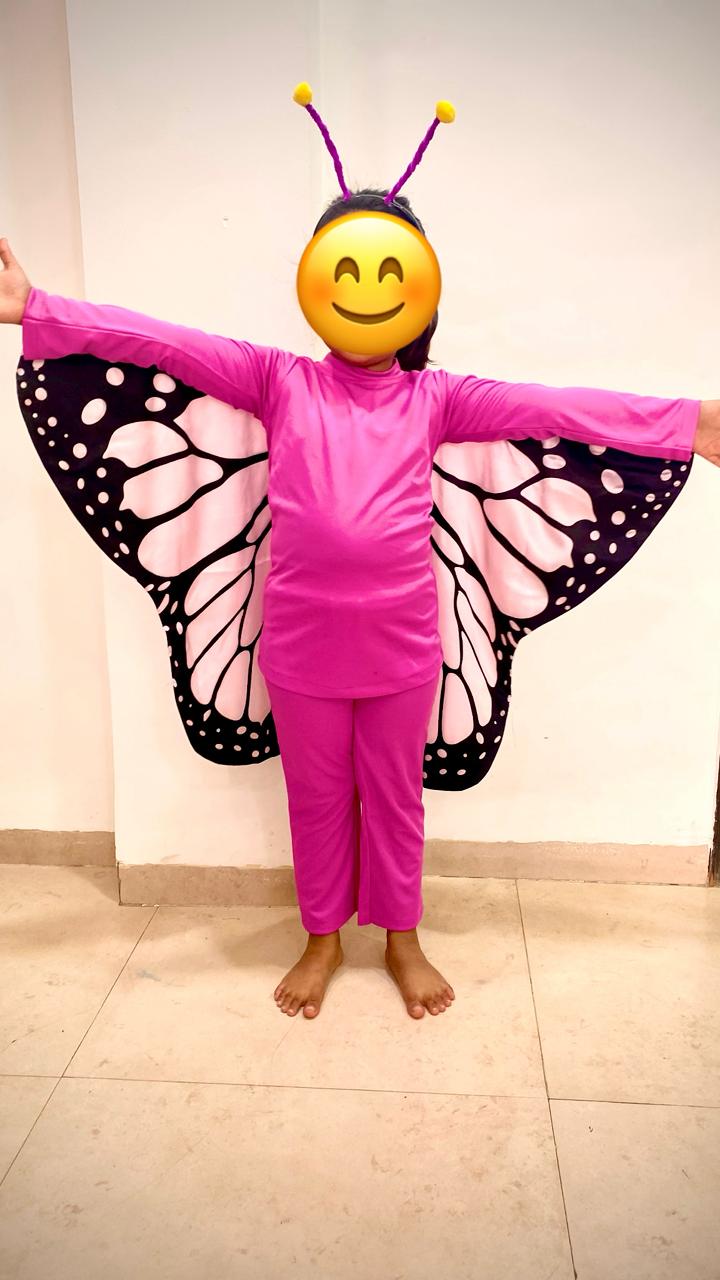 Used butterfly fancy dress for kids preloved