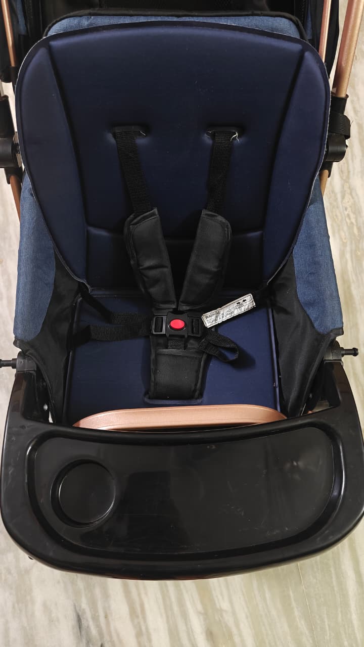 Affordable StarAndDaisy stroller India preloved