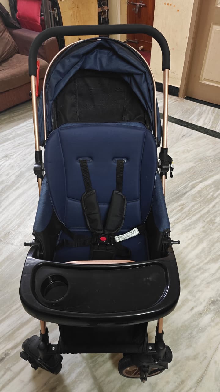 StarAndDaisy stroller for daily outings like new